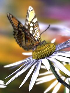 Other Wallpapers 0631